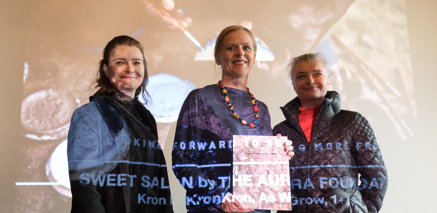 Sweet Salone receives Reykjavik Grapevine Design Award