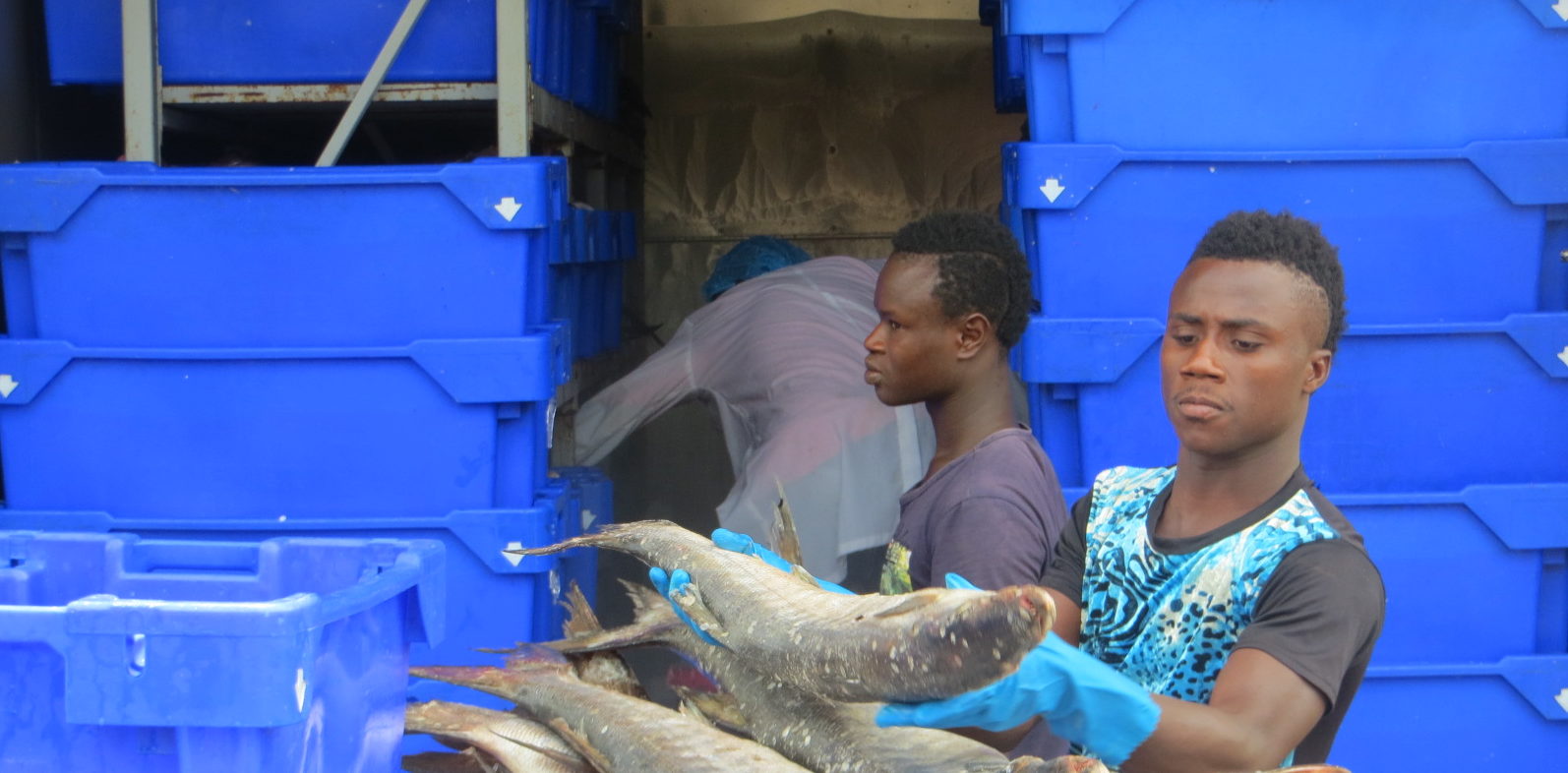 Sad news from West-African fishing territories